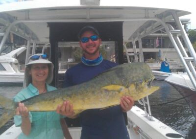 Mahi Mahi fish