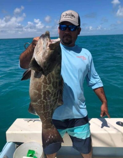 Black Grouper fish
