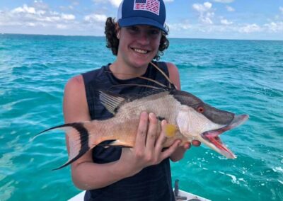 Hogfish fish