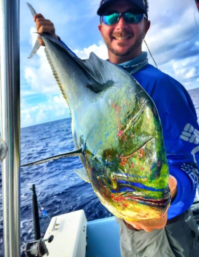 Mahi Mahi fish