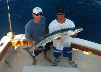 Barracuda fish