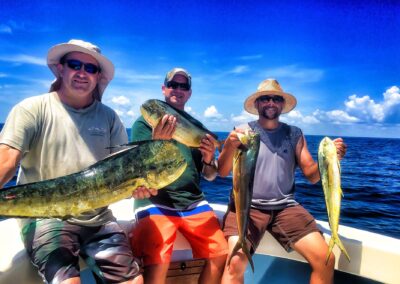 mahi mahi