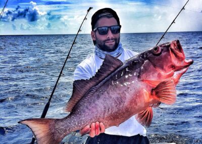 Red Grouper fish