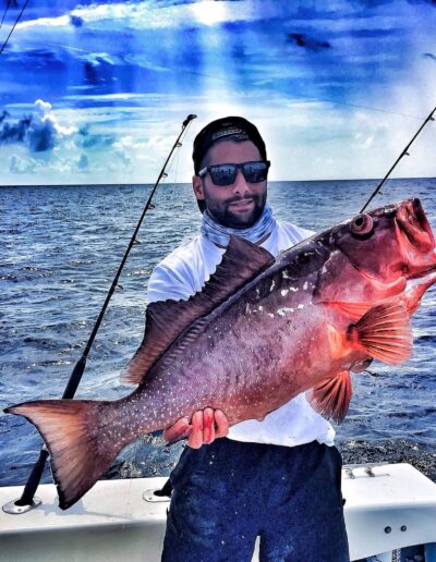 Red Grouper fish