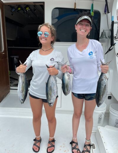 blackfin tuna fishing