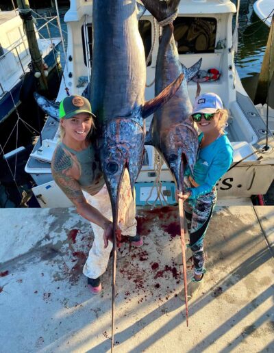 Swordfish fish