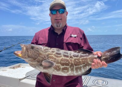 black grouper