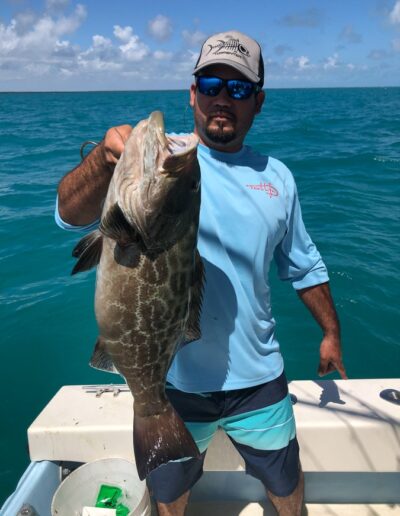 Black Grouper fish