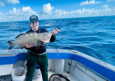 black grouper
