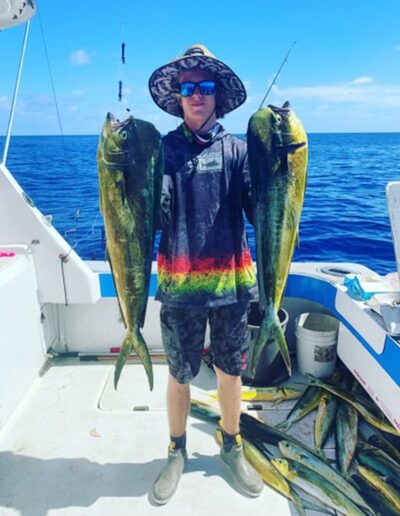 mahi mahi