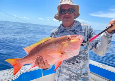 mutton snapper