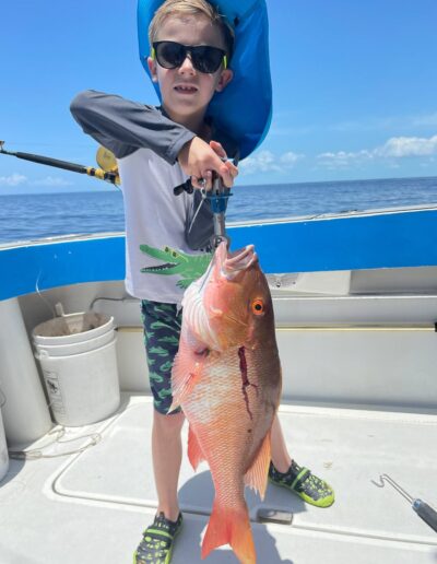 mutton snapper