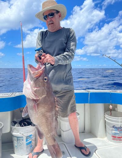 snowy grouper