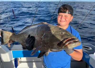 black grouper