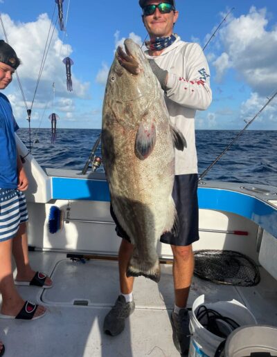 black grouper