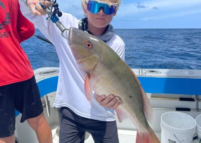 mutton snapper