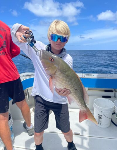 mutton snapper