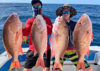 mutton snapper