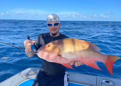mutton snapper
