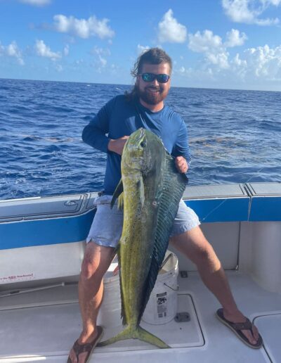 mahi mahi