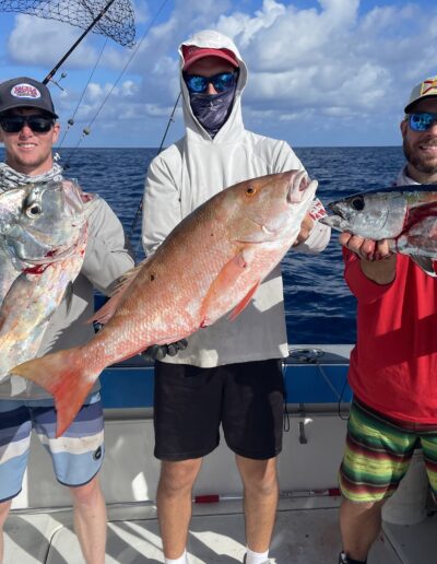 African pompano, mutton snapper, blackfin tuna