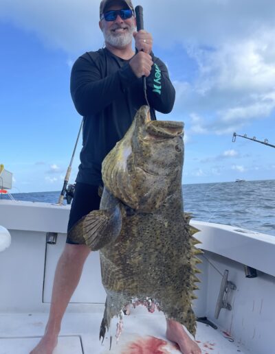 Goliath Grouper