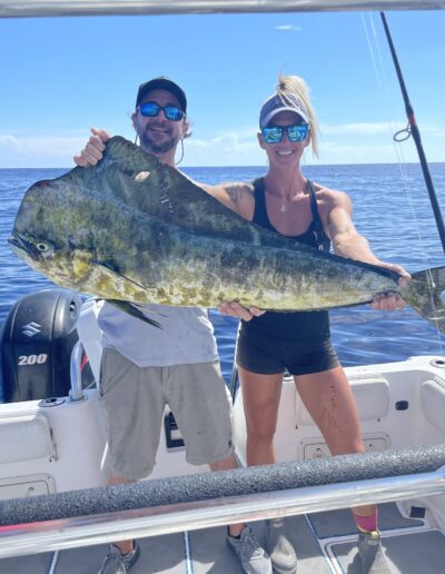 Mahi