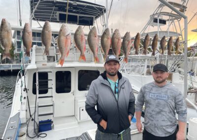 Mangrove and Mutton Snapper