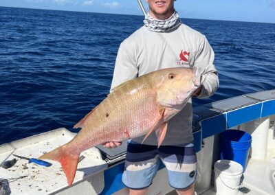 Mutton snapper