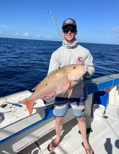 Mutton snapper