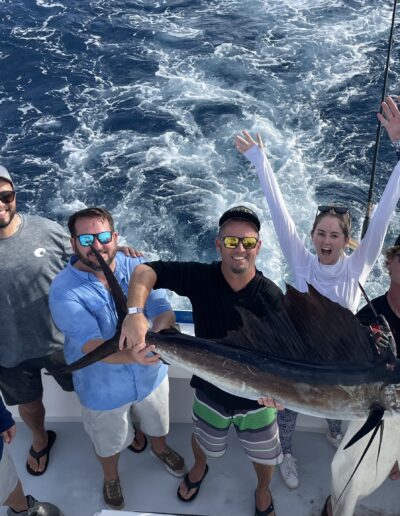 Sailfish