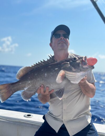 Snowy Grouper