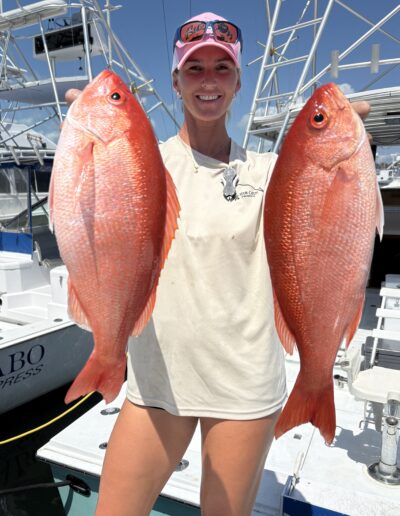 Vermilion Snapper