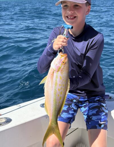 Yellowtail Snapper