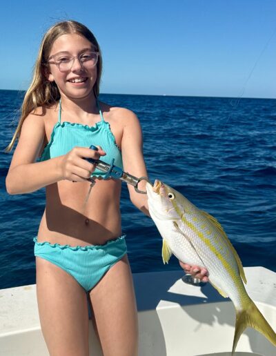 Yellowtail Snapper