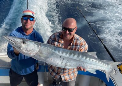 barracuda