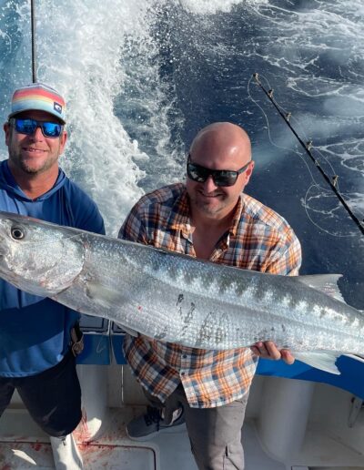 barracuda