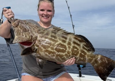 Black Grouper