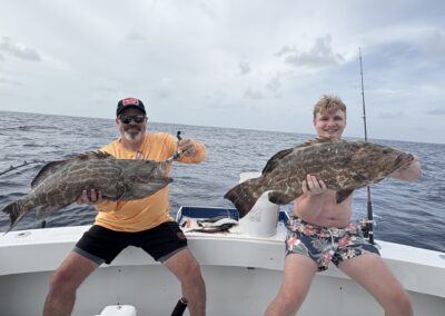 Black Grouper