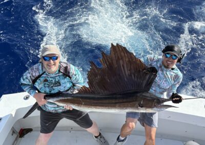 Sailfish