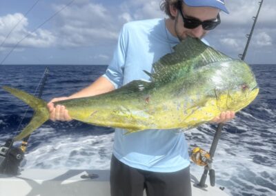 Mahi Mahi