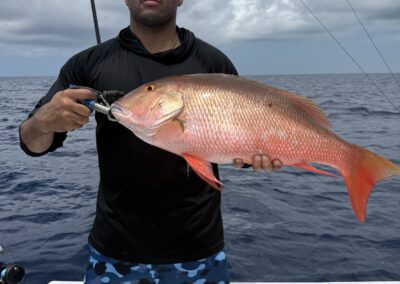 Mutton Snapper