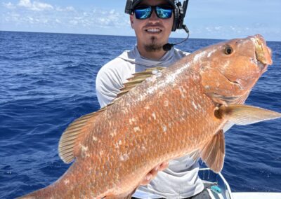 Mutton Snapper