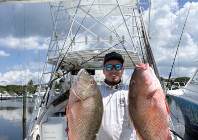 Mutton Snappers